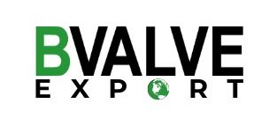 BVALVE